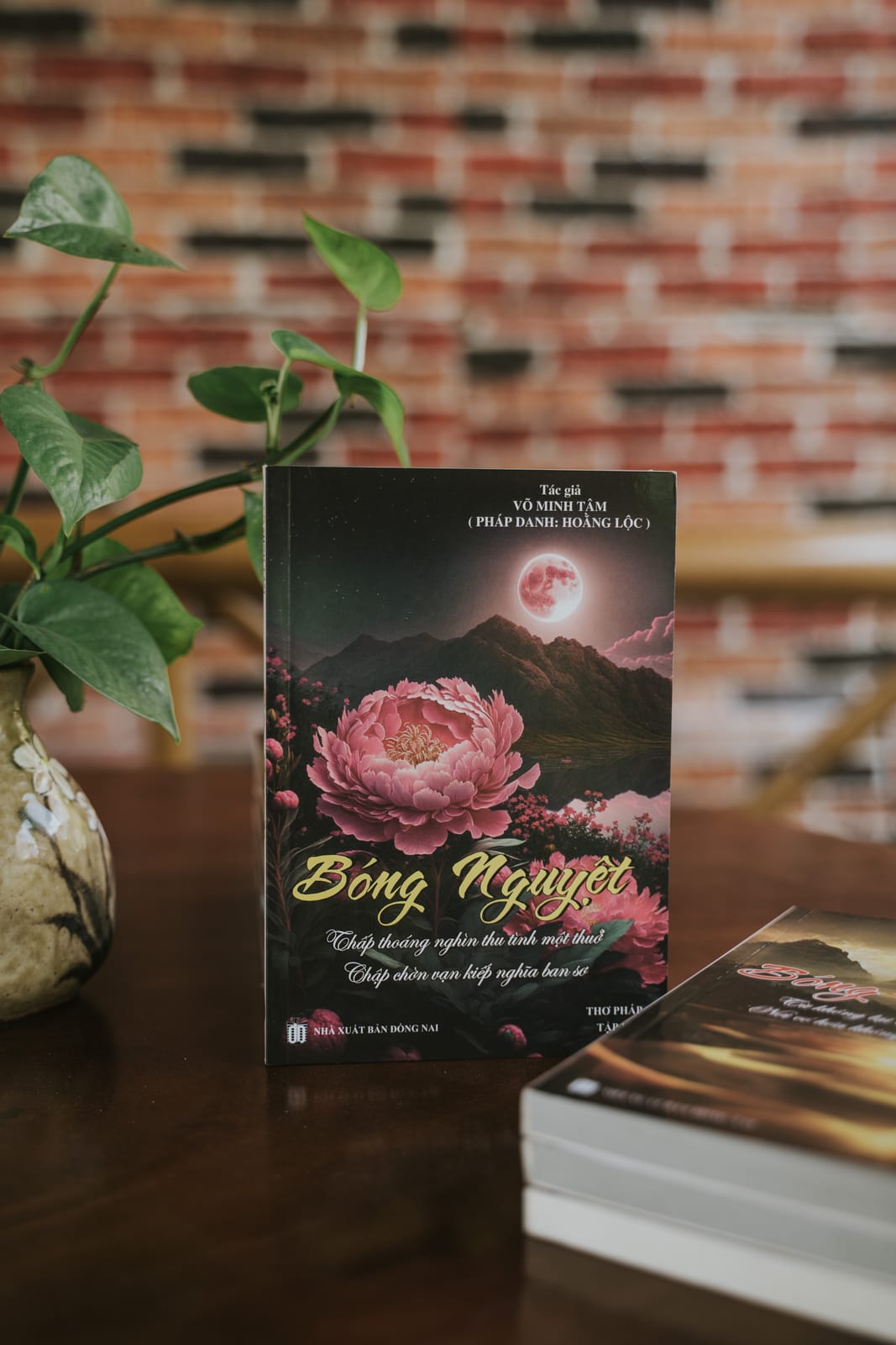 Bìa một tập Bóng Nguyệt dựng bên bức tường gạch và một nhành lá.