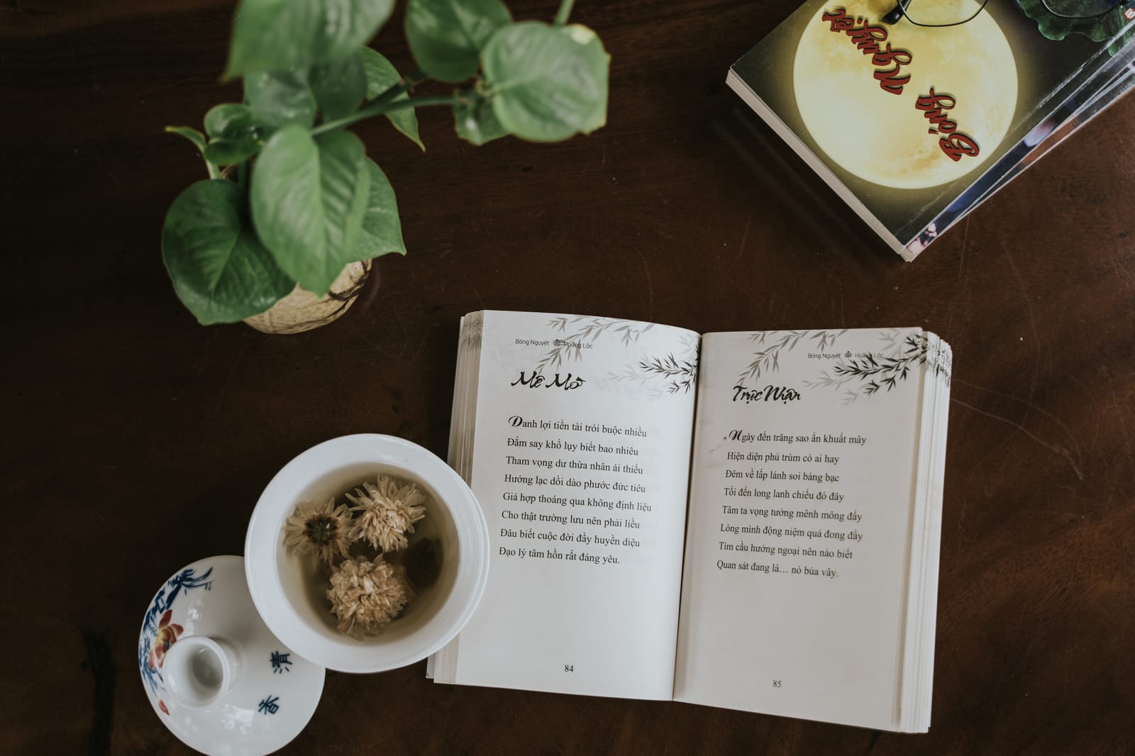 Cuốn sách mở bên chén trà và chậu cây nhỏ trên bàn gỗ.
