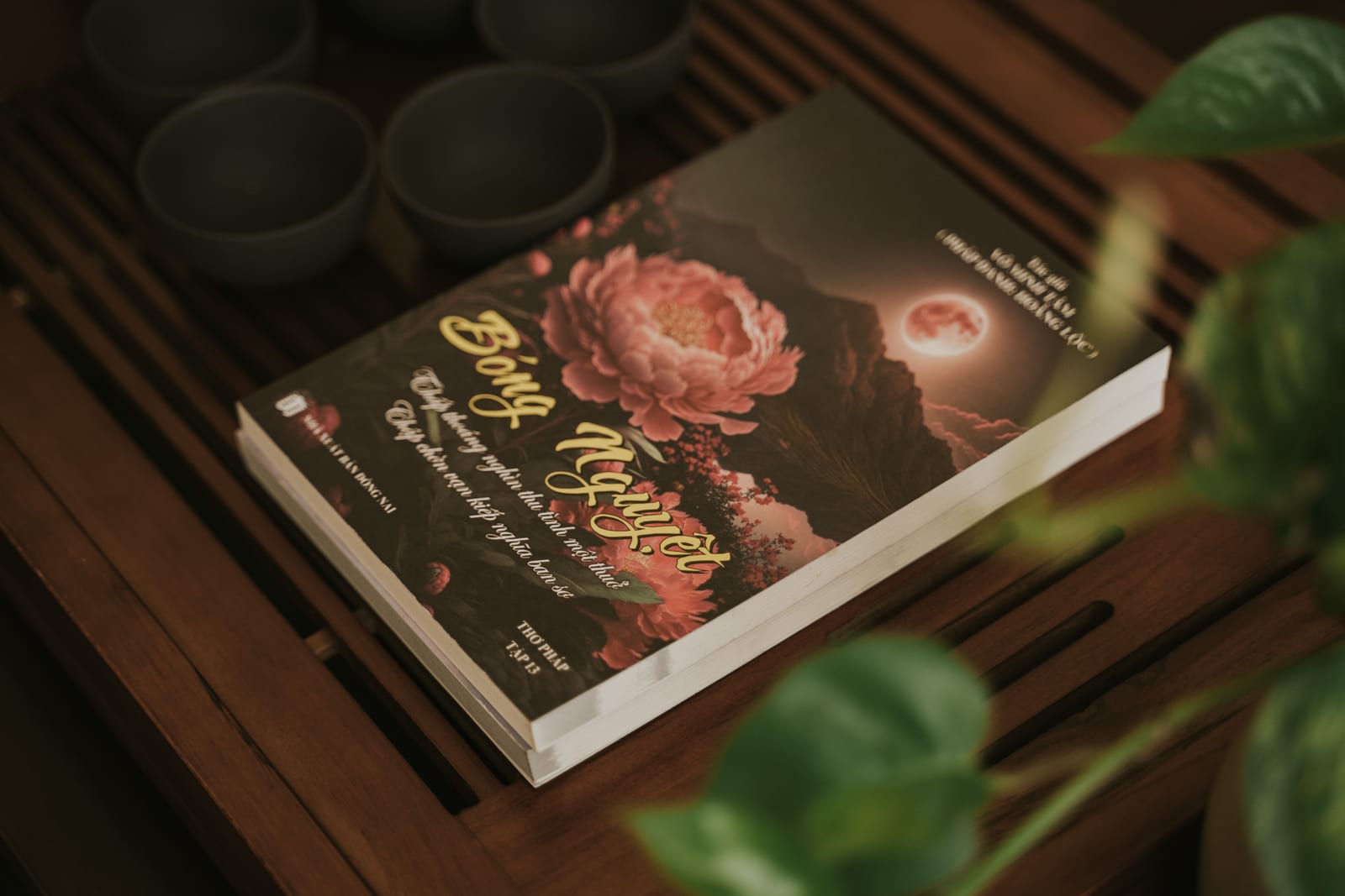 Sách đặt trên khay trà gỗ.
