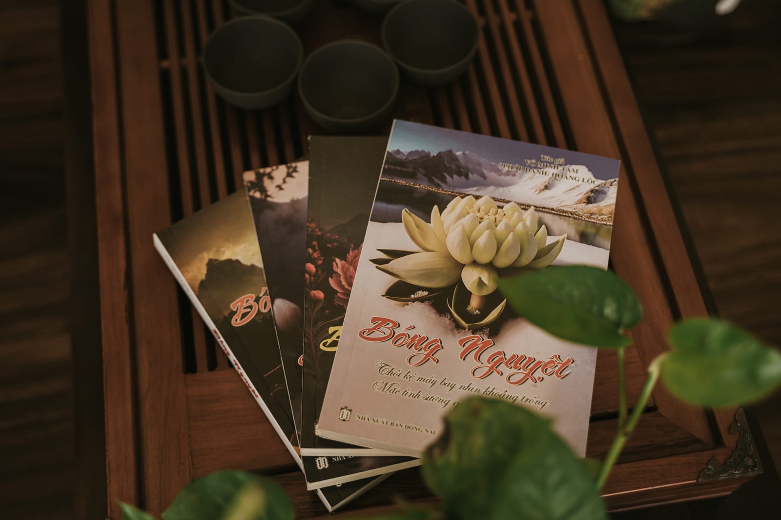 Vài tập sách xoè ra trên khay trà.